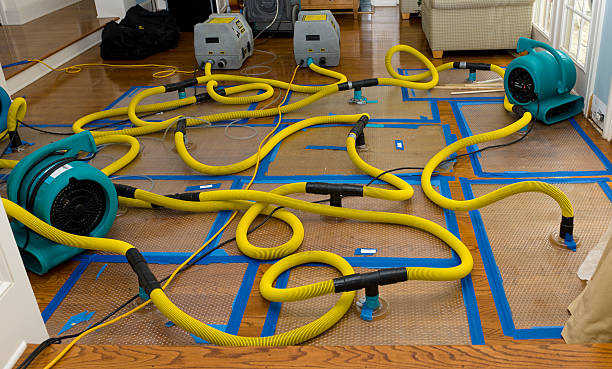 Professional Water Extraction technician working in New Trenton, IN