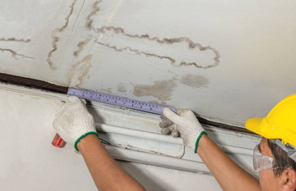 Affordable Water Damage Repair solutions in New Trenton, IN